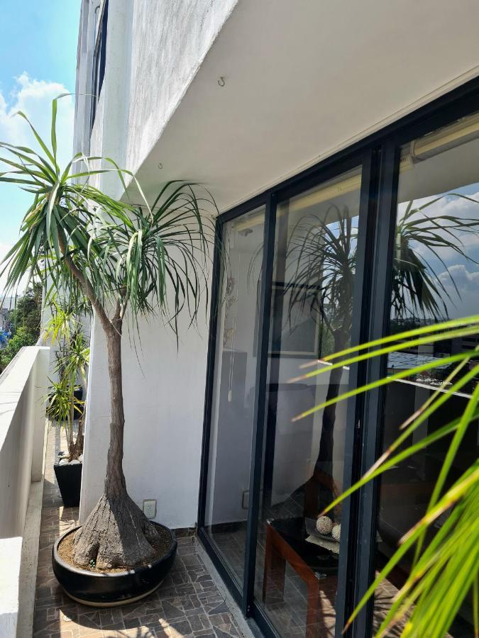 Excelente Ubicacion En Colonia Del Valle مدينة مكسيكو المظهر الخارجي الصورة